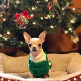 Dog Sweater Pet Christmas Elk Bells Sweaters Halloween Reindeer for Small Dog and Cat (M, Green)