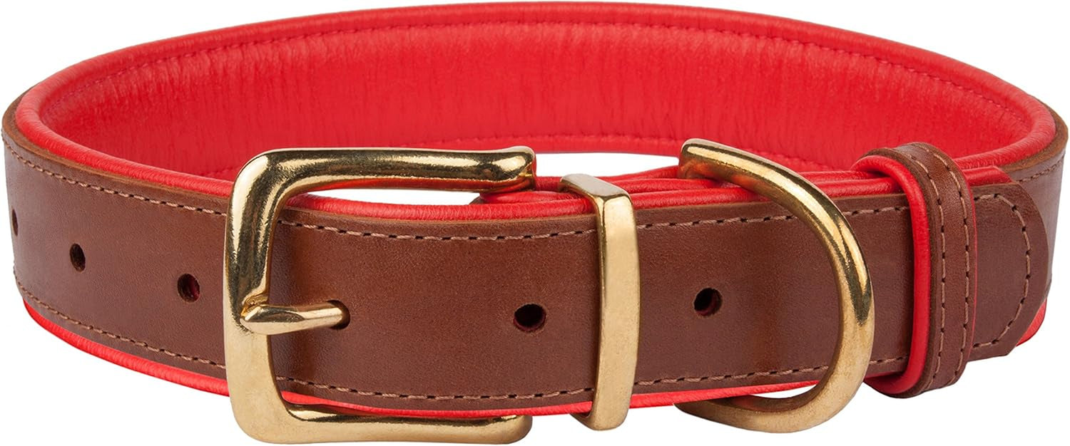 Leather Dog Collar Brass Buckle Soft Padded Puppy Small Medium Large Red Pink Blue Green Purple Yellow (Neck Fit 12"-14", Red)