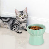 Green Ceramic Raised Cat Bowl – Elevated Food & Water Dish