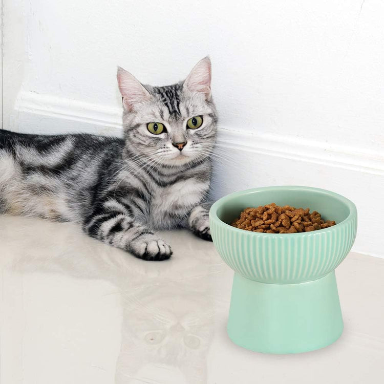 Green Ceramic Raised Cat Bowl – Elevated Food & Water Dish