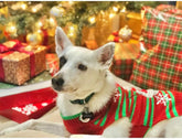 Dog Snow Sweaters Snowman Sweaters Xmas Dog Holiday Sweaters New Year Christmas Sweater Pet Clothes for Small Dog and Cat(Snowman,Xl)