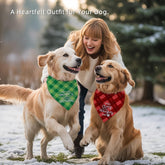 Christmas Dog Bandanas Funny, Dog Christmas Scarf 2 Packs, Pets Festive Plaid Décor for Medium Large Dogs