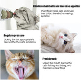 Catnip Wall Ball Cat Toys with 2 Treat Candies – Safe Edible Licking Balls for Indoor Cats