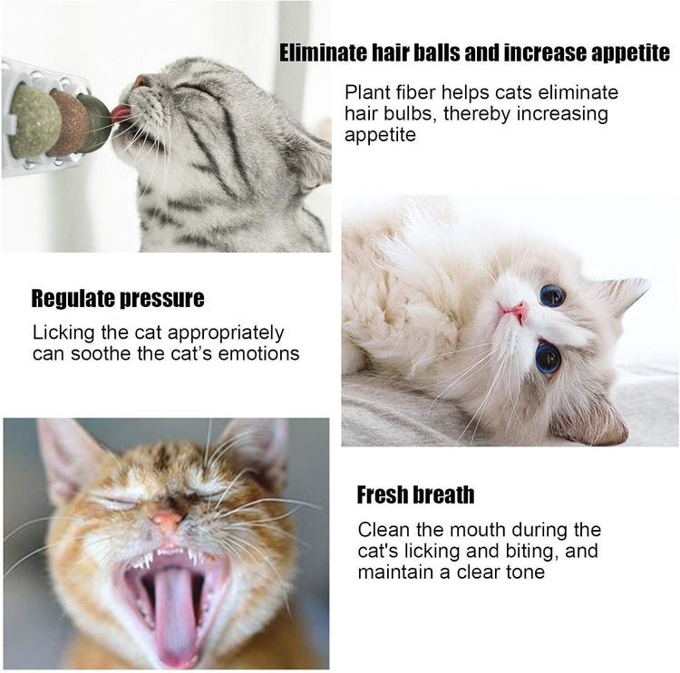 Catnip Wall Ball Cat Toys with 2 Treat Candies – Safe Edible Licking Balls for Indoor Cats