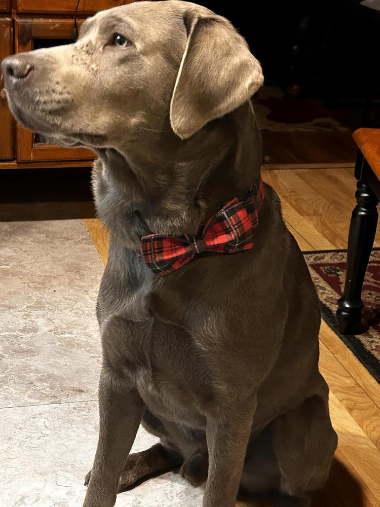 Christmas Dog Collar with Bowtie, Dog Bowtie Collar with Metal Buckle for Dogs, Adjustable Comfortable Dog Collar Girl Boy Gift, XL, Neck 16-26 In
