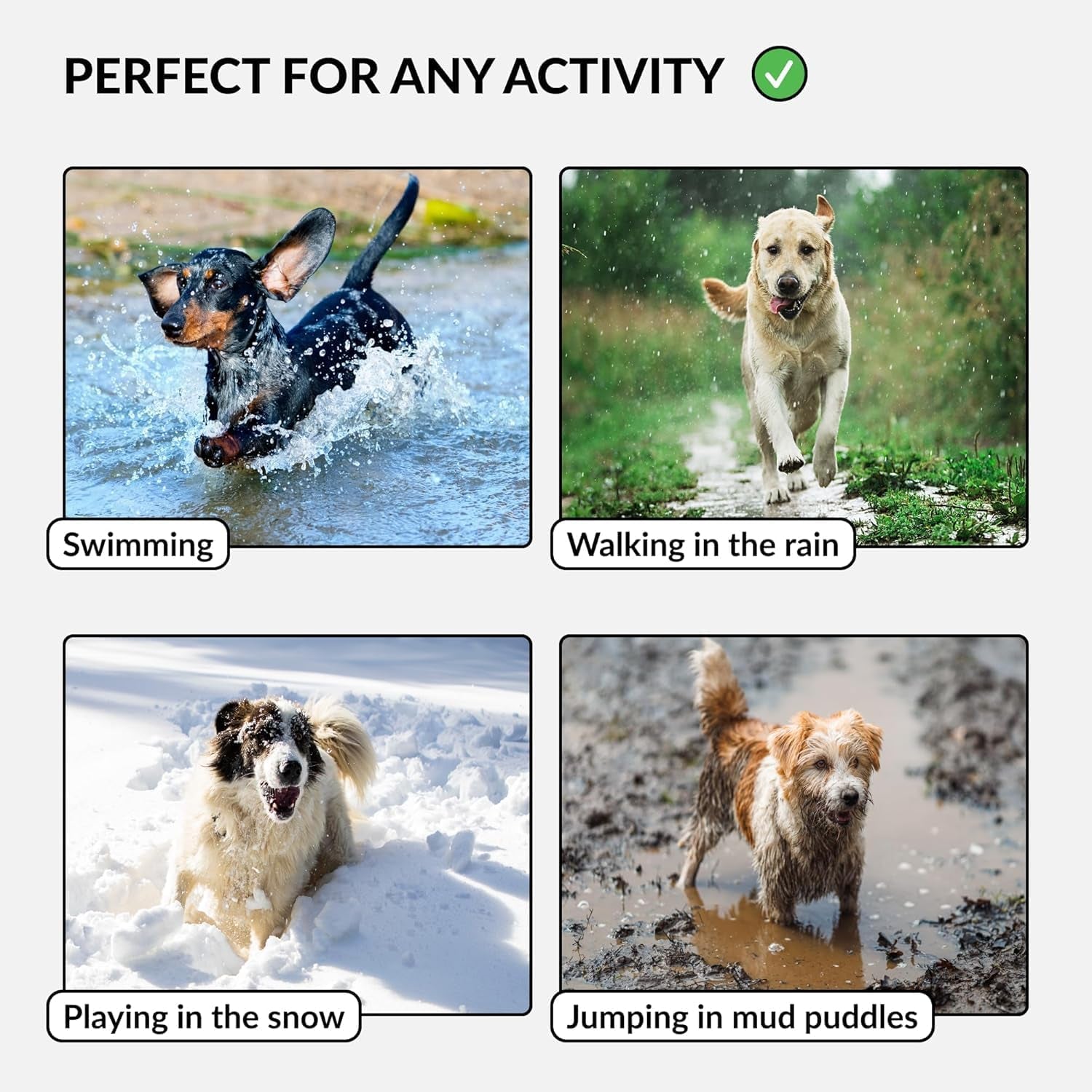 Waterproof Dog Collar - Silicone, Plastic Collar, Odor-Resistant, Easy to Clean, for Large, Medium, Small Dogs - Adjustable Collar with Breakaway Buckle (Neck Fit 10"-13", Mint Green)