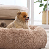 Calming Plush Cat Bed – Small 20” Round Washable Pet Bed with Anti-Slip, Camel Color