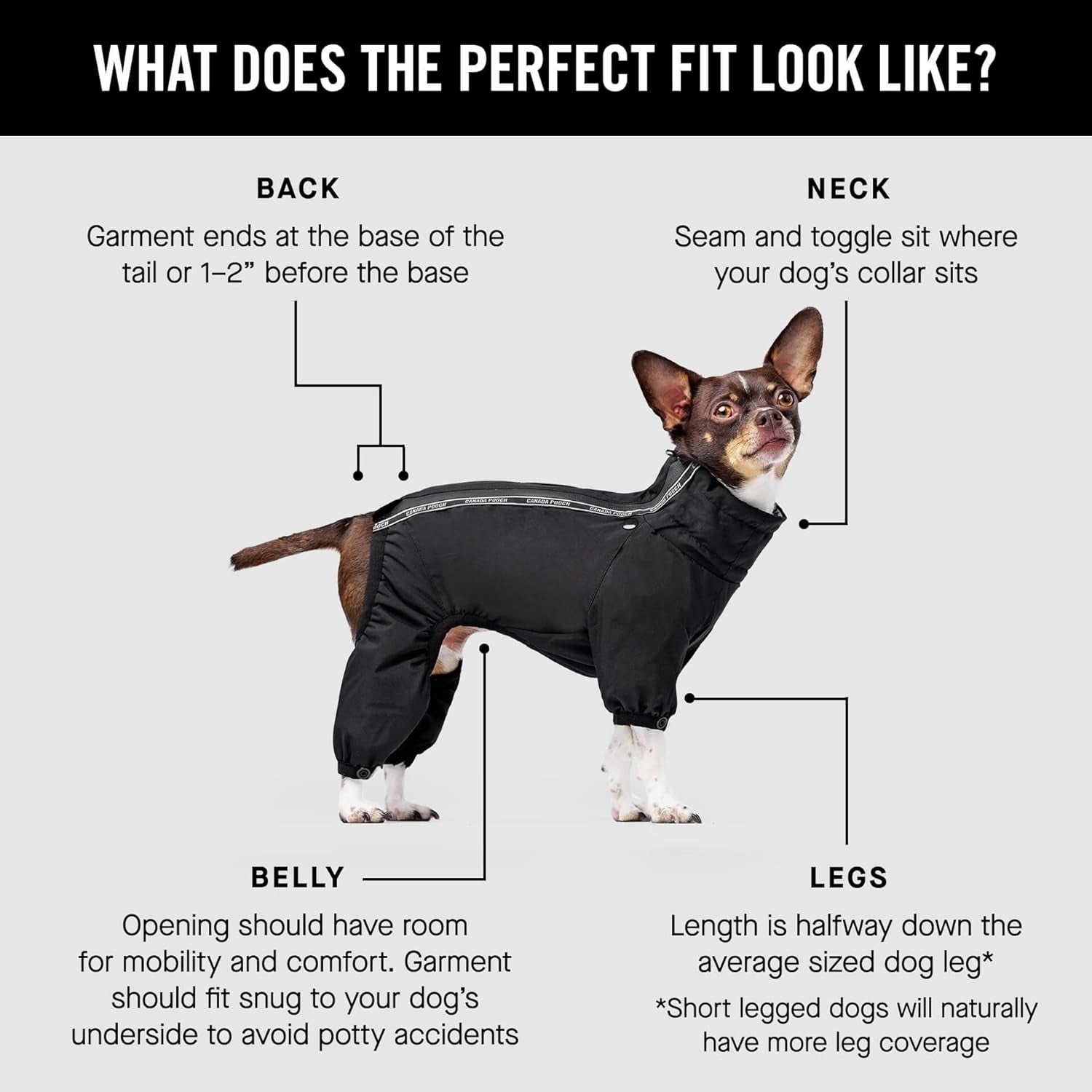 Dog Snowsuit – Black, Size 10 (9–11" Back Length)