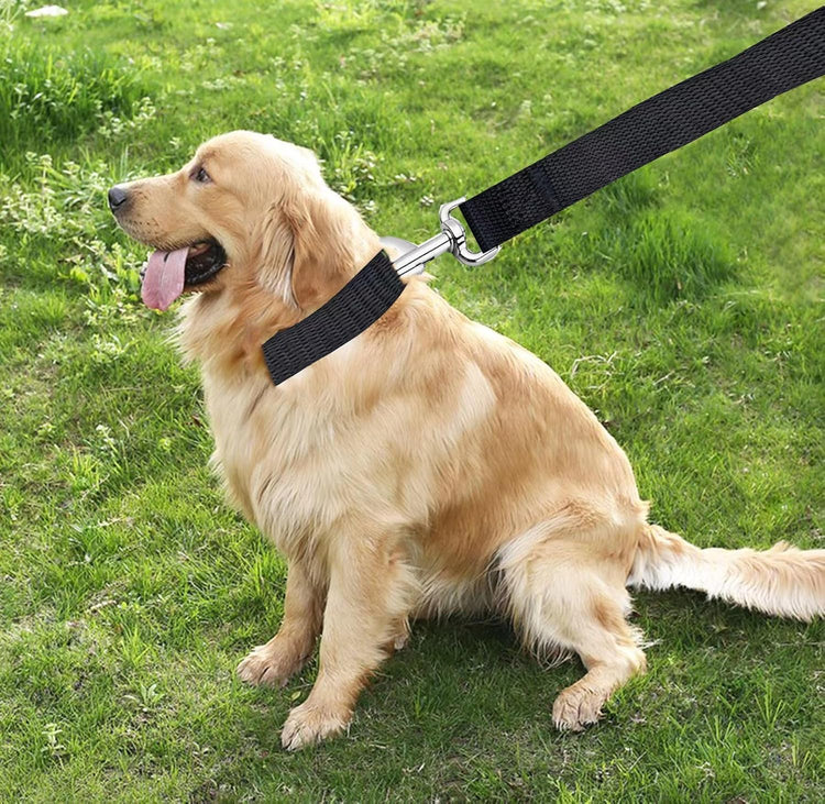 5 FT Strong Dog Leash, Nylon Dog Leashes for Small Medium Large Dogs Black