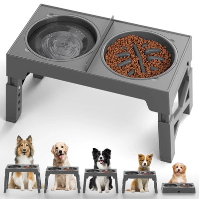 Elevated Dog Bowls with Water Dispenser – Adjustable Stand, Non-Slip