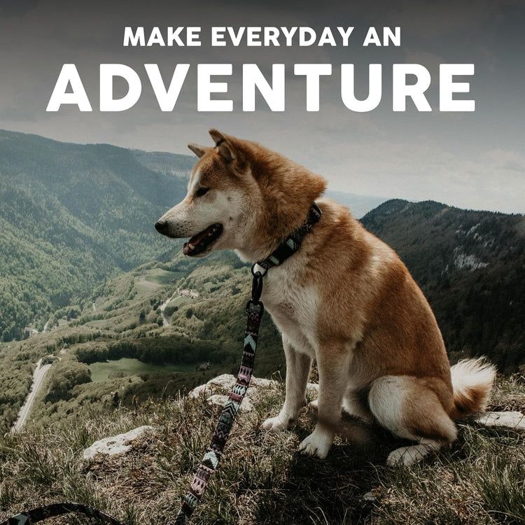 Embark Adventure Dog Leashes - Colorful, Strong and Sturdy Dog Leash for Small, Medium and Large Breed Dogs (Aztec, 4 Ft)