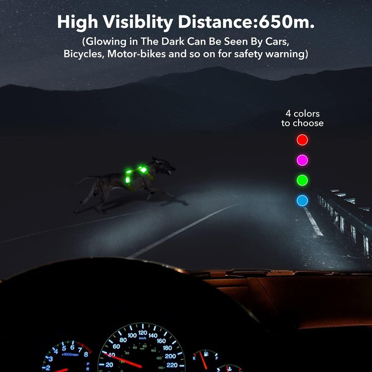 Light up Dog Harness - USB Rechargeable LED Dog Harness with Reflective Strips, Comfortable Adjustable Sizes (Green, Medium)