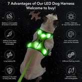 Light up Dog Harness - USB Rechargeable LED Dog Harness with Reflective Strips, Comfortable Adjustable Sizes (Green, Medium)