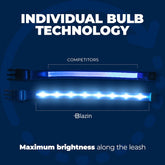 LED Light-Up Dog Leash – USB Rechargeable, 4ft Blue