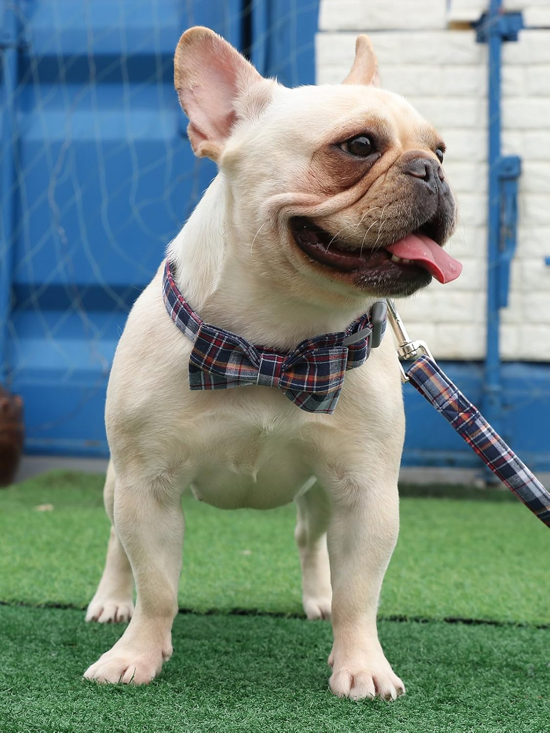 Adjustable Dog & Cat Collar with Bowtie – Grid Pattern, Plastic Buckle, Fits Small to Large Pets