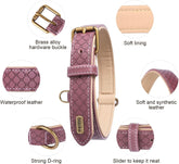 Basic Classic Luxury Padded Leather Dog Collar - Rust Proof Brass Strong Leather Collar Heavy Duty Alloy Hardware Best for Small, Medium, Large Dogs