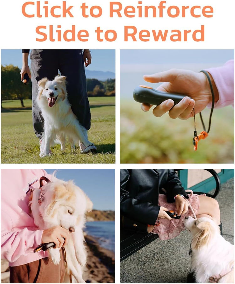 2-in-1 Dog Training Clicker & Treat Dispenser – Black, Durable & Easy Clean