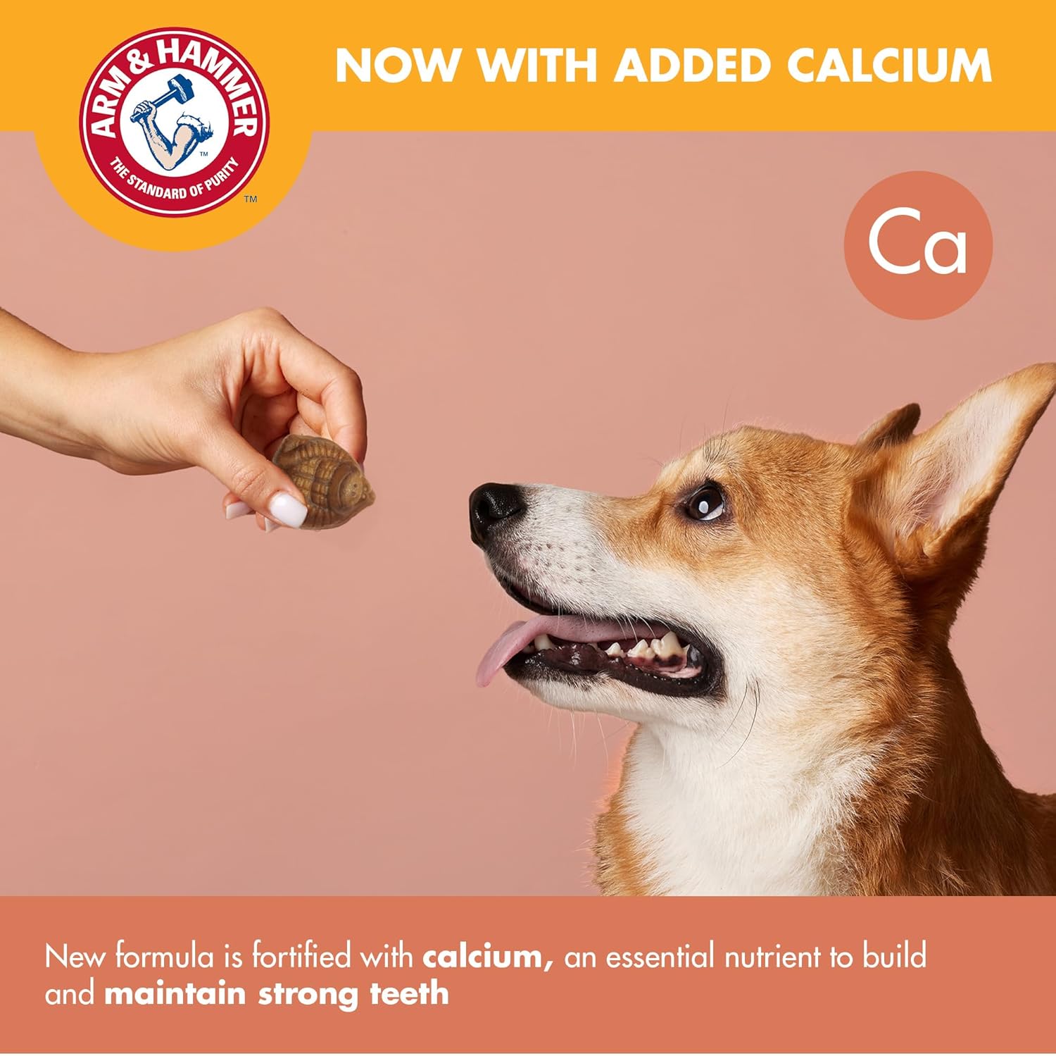 Mighties by Treadz Dental Treats for Dogs – Mint, 6 Pcs (Gorilla Shape)