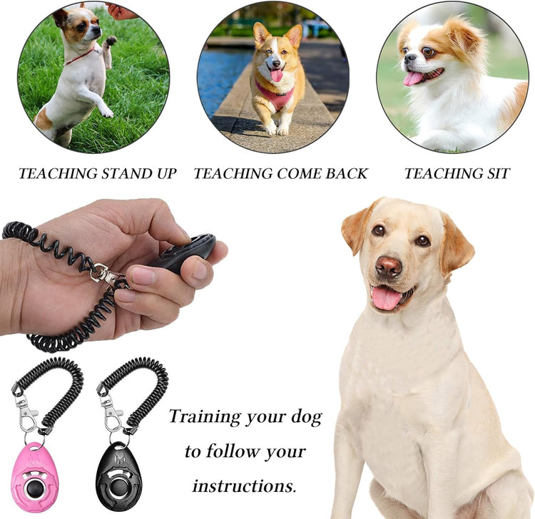 Dog Training Kit – Treat Pouch & Clicker, 3-Way Wear (Black & Pink)