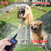 No-Shock Dog Training Collar – 3300ft Remote, Sound & Vibration, IPX7 Waterproof