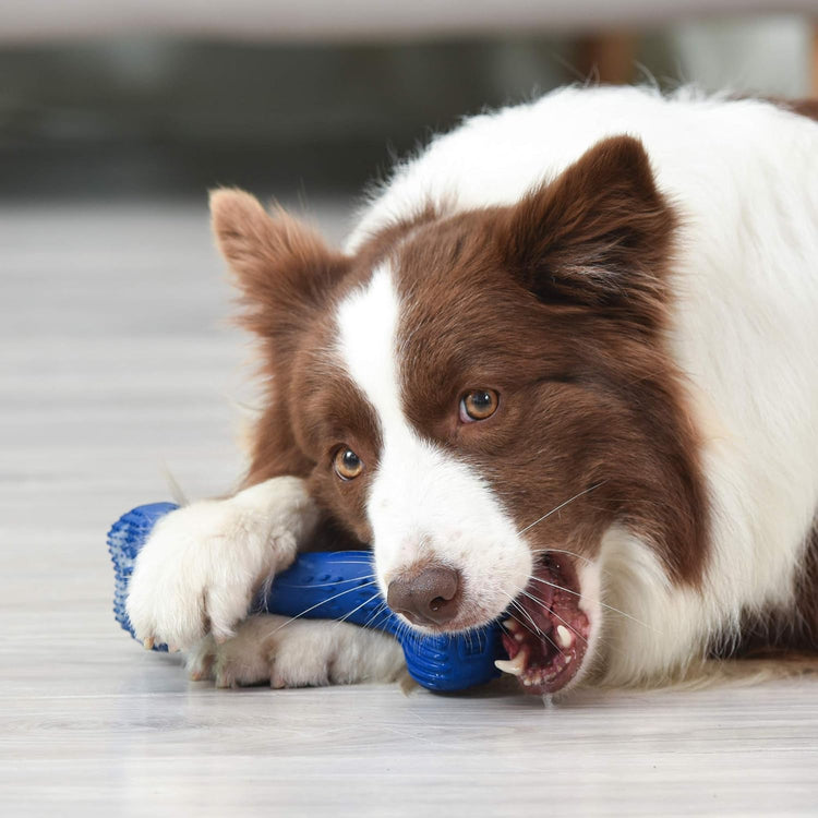 Fresh Spectrum Dog Dental Bone Toy – 360° EZ Clean, Small
