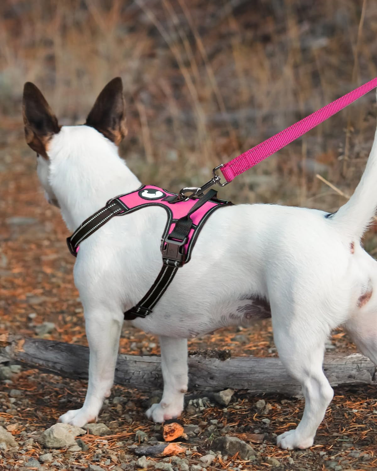 Double-Sided Reflective Dog Leash, 6 FT/5 FT/4 FT, Padded Handle Nylon Heavy Duty Leashes for Small & Medium Dogs Walking, Hotpink, 5FT
