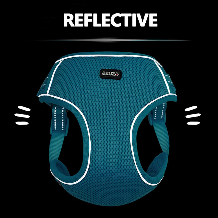 No-Pull Dog Harness & Leash Set – Reflective, Padded Vest (Small/Medium)