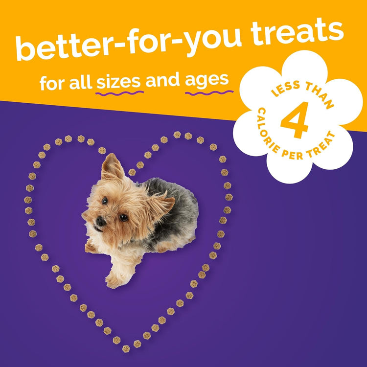 Skinny Mini Dog Treats, Healthy Pumpkin Treat for Dogs, Low Calorie & Delicious, Puppy Training, Free of Wheat, Corn and Soy, Made in the USA, Pumpkin and Mango Flavor, 5Oz