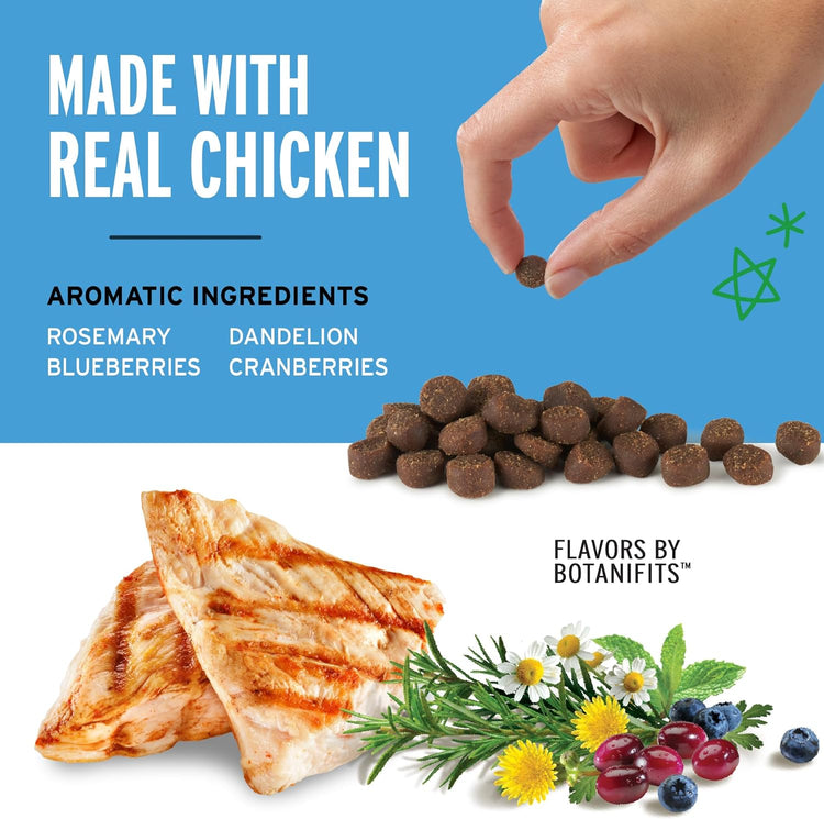 Training Reward Mini Dog Treats – Soft & Chewy Chicken Flavor, 10 oz Pouch, 500 Treats per Bag