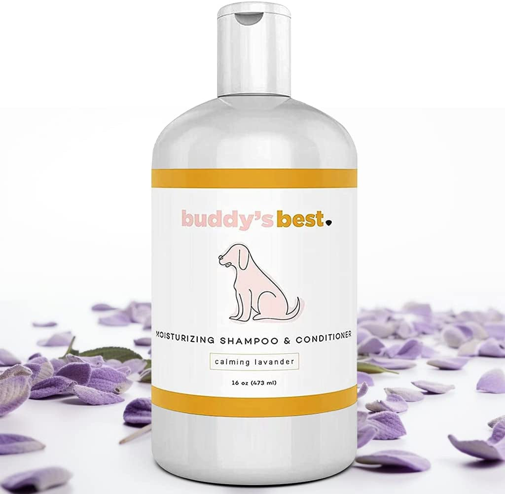 Oatmeal Dog Shampoo & Conditioner for Dry, Sensitive Skin – Calming Lavender Scent, Moisturizing, 16 oz