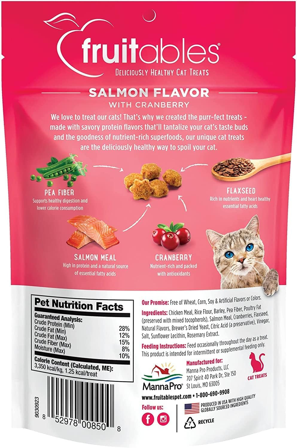 Cat Crunchy Treats for Cats – Healthy Low Calorie Packed with Protein – No Wheat, Corn or Soy – Made with Real Salmon with Cranberry – 2.5 Ounces