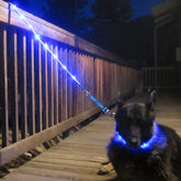 LED Light-Up Dog Leash – USB Rechargeable, 4ft Blue
