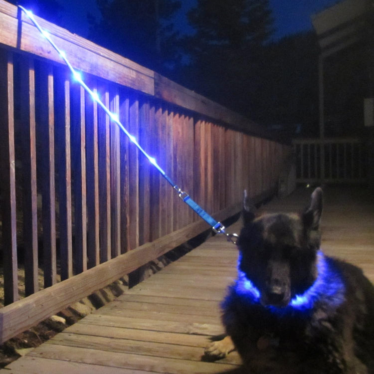 LED Light-Up Dog Leash – USB Rechargeable, 4ft Blue