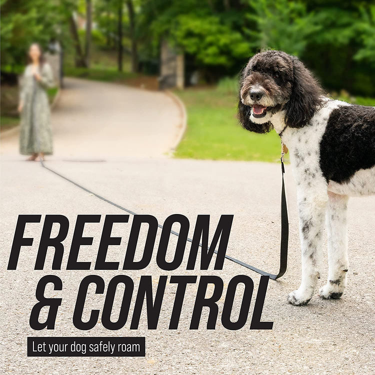 Long Trainer - 1 Inch Nylon Long Dog Training Leash with Storage Strap (50 Ft, Black)