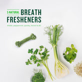 Dental Chews for Medium Dogs (25–50 lbs) – Mint Flavor, 20 Ct