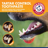 Dog Tartar Control Kit – Toothpaste, Toothbrush & Finger Brush (Banana Mint, 3-Piece)