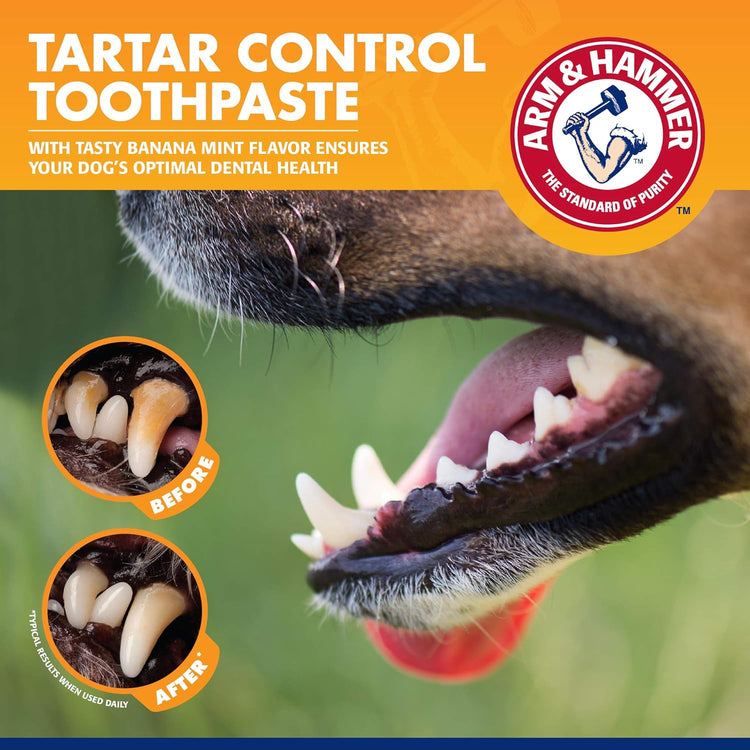 Dog Tartar Control Kit – Toothpaste, Toothbrush & Finger Brush (Banana Mint, 3-Piece)
