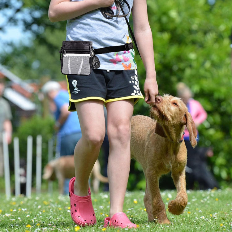 Dog Training Kit – Treat Pouch & Clicker, 3-Way Wear (Black & Pink)