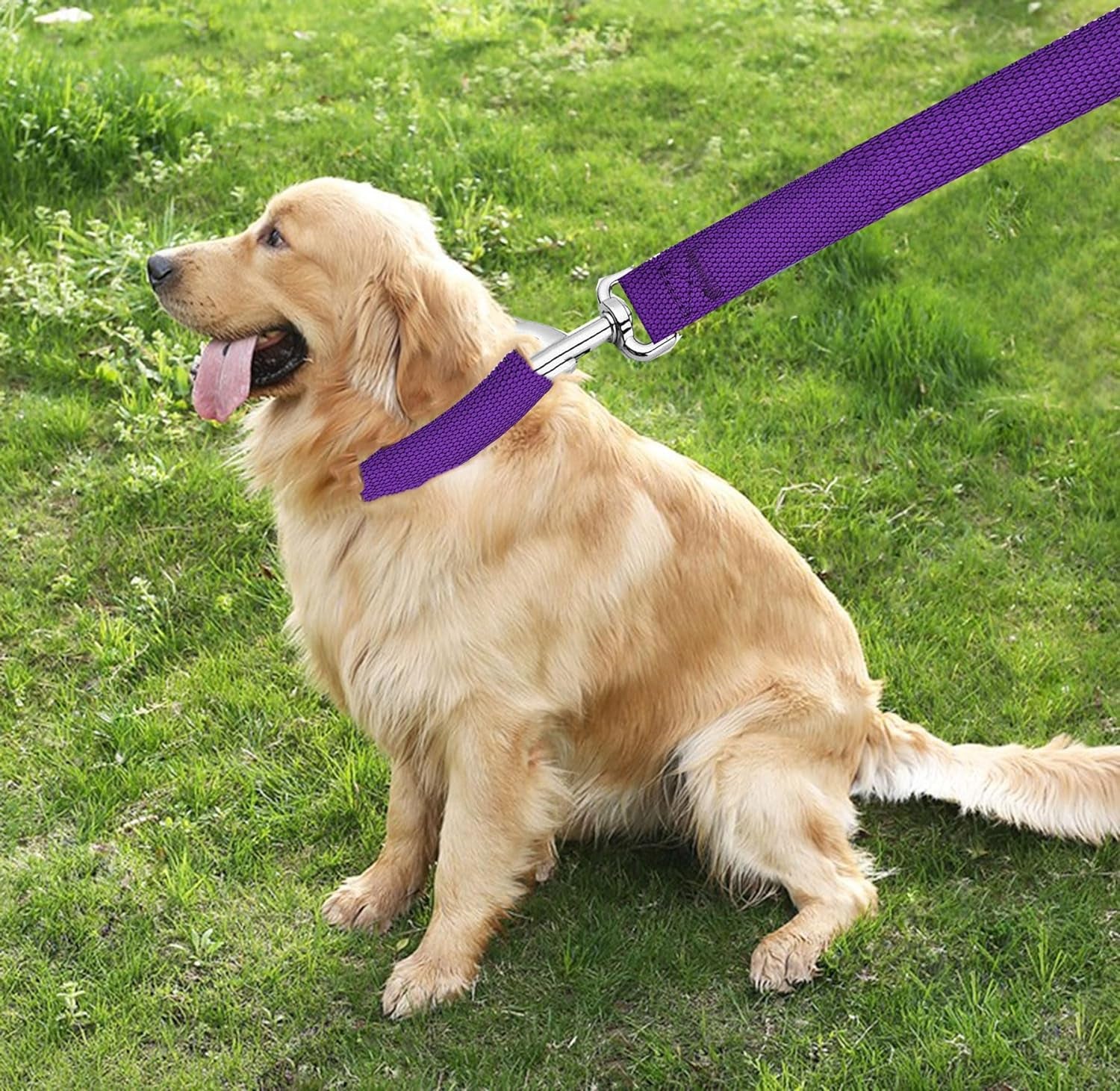 5 FT Strong Dog Leash, Nylon Dog Leashes for Small Medium Large Dogs Purple