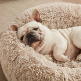 Calming Dog & Cat Bed, Cat Bed for Indoor Cats, Anti-Anxiety Donut round Bed, Fluffy Warming Pet Bed for Small Medium Dogs and Cats, Beige Taupe 20"/24"