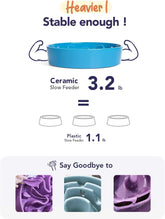 Ceramic Slow Feeder Dog Bowl – 1.5 Cup, Puzzle Design (Vortex Blue)