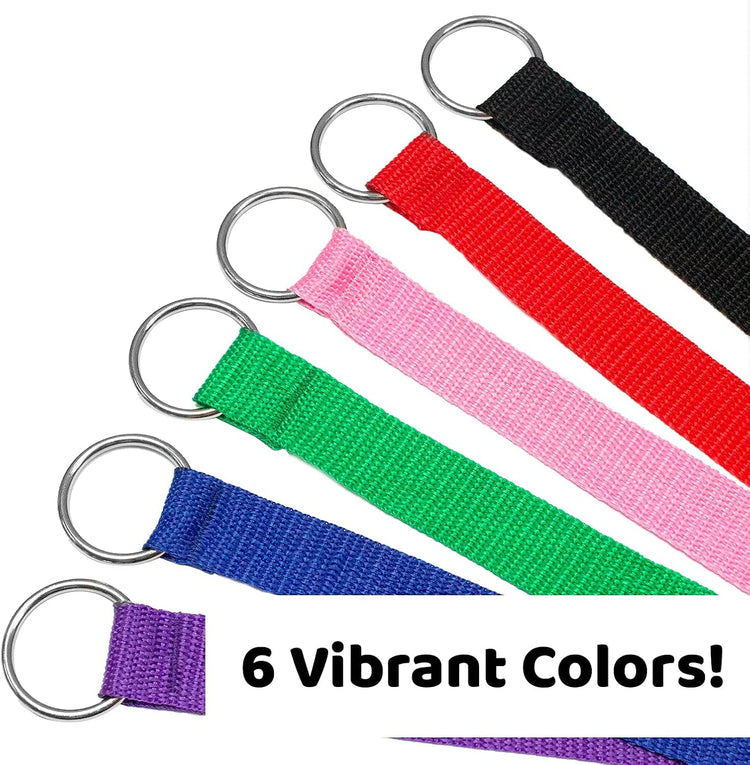 - 6Ft Dog Kennel Slip Lead - Veterinarian, Grooming, Daycare & Rescue Supplies - One Size Leads for Dogs - 1" Thick 6 Pack