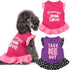 2 Pieces Dog Dresses for Dogs Cute Girl Female Pet Dress Mommy Puppy Shirt Skirt Dresses Pet Summer Clothes Apparel for Cats(Love and Me,X-Small)