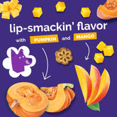 Skinny Mini Dog Treats, Healthy Pumpkin Treat for Dogs, Low Calorie & Delicious, Puppy Training, Free of Wheat, Corn and Soy, Made in the USA, Pumpkin and Mango Flavor, 5Oz