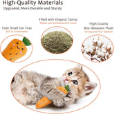 Catnip Cat Toys 5-Pack – Durable Vegetable-Shaped Teething Chew Toys for Indoor Kittens and Cats