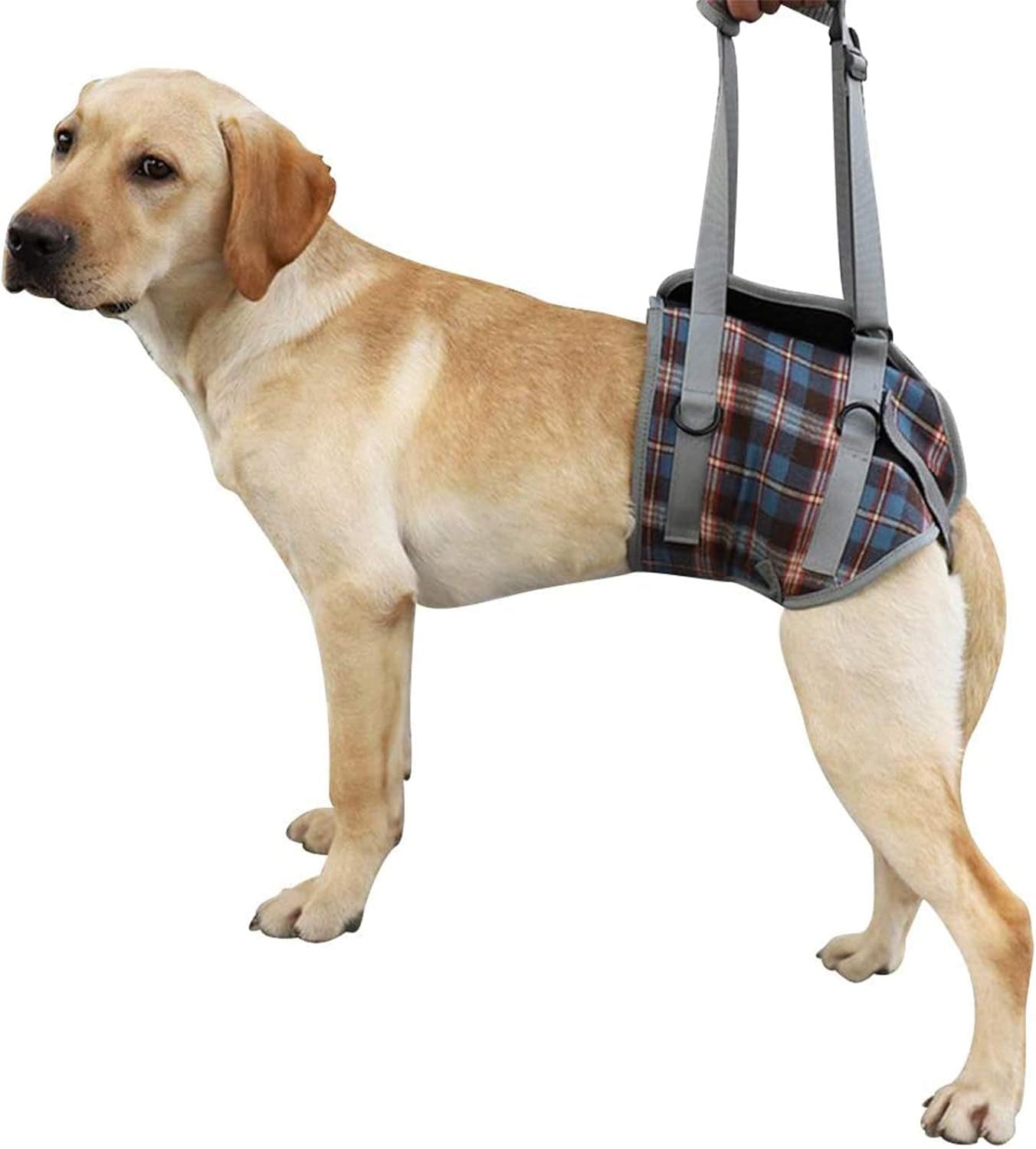 Dog Lift Harness, Grid Pet Rear Support Aid Veterinarian Approved Sling for Old K9 Help with Poor Stability, Back Leg Hip Disabled Joint Injury Elderly Arthritis ACL Rehabilitation Rehab