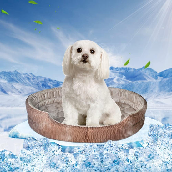 Cooling Cat Beds for Indoor Cats Small Dog Bed, Pet Cooling Bed Machine Washable Puppy Bed Breathable Pet Cooling Mat