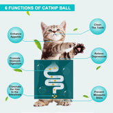 Catnip Wall Ball Cat Toys with 2 Treat Candies – Safe Edible Licking Balls for Indoor Cats