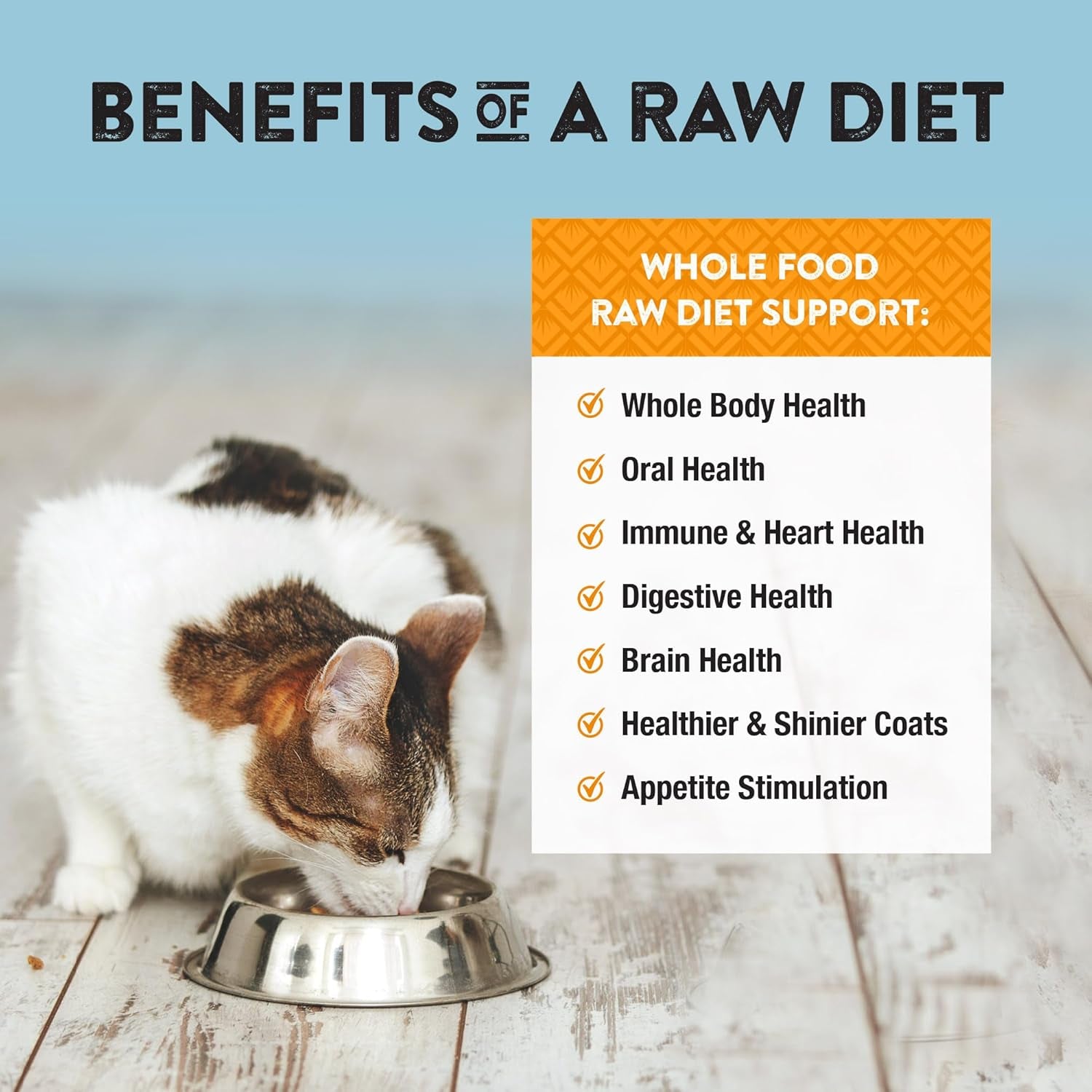 Freeze-Dried Duck Cat & Kitten Food – High-Protein, Grain-Free, All-Natural, 11 oz (Pack of 3)