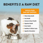 Freeze-Dried Duck Cat & Kitten Food – High-Protein, Grain-Free, All-Natural, 11 oz (Pack of 3)